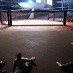Octógono de MMA em arena de Brasília, representando evento da LFA com apoio oficial.