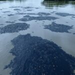 Manchas de petróleo nas águas da Foz do Amazonas, gerando alerta ambiental no Brasil.