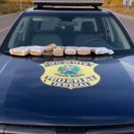 Viatura da polícia com drogas apreendidas na divisa DF-Goiás, em estilo fotojornalístico.