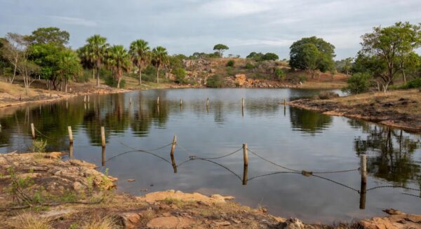 Piscinas da Água Mineral fechadas no Parque Nacional de Brasília por risco de ruptura, com vegetação de cerrado ao redor.
