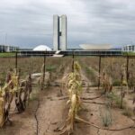 Horta urbana negligenciada no Distrito Federal, com plantas murchas e estruturas danificadas, destacando falhas na agricultura urbana.