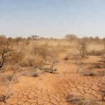Paisagem seca do cerrado em Brasília com alerta de baixa umidade no Distrito Federal