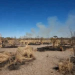 Paisagem do cerrado no DF com vegetação seca e fumaça de incêndios devido à falta de chuva
