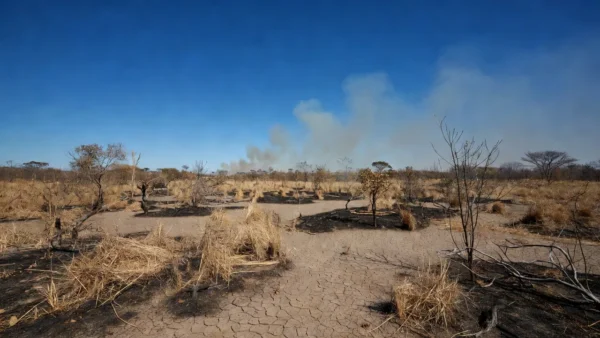 Paisagem do cerrado no DF com vegetação seca e fumaça de incêndios devido à falta de chuva