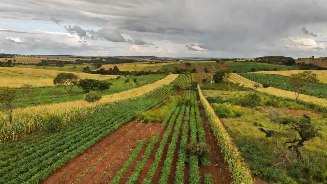 Paisagem do Cerrado com agropecuária sustentável e preservação ambiental