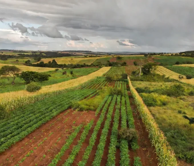Paisagem do Cerrado com agropecuária sustentável e preservação ambiental