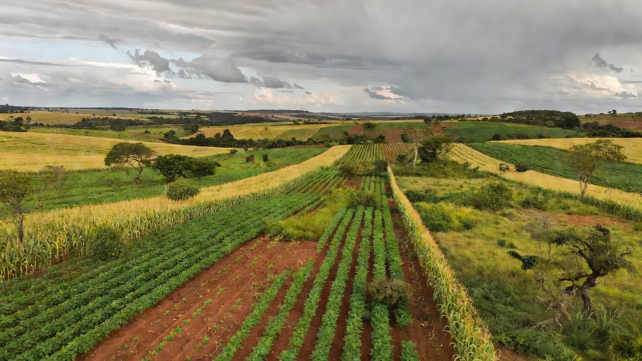 Paisagem do Cerrado com agropecuária sustentável e preservação ambiental